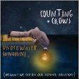 USED CD - Counting Crows – Underwater Sunshine (Or What We Did On Our Summer Vacation) Online now