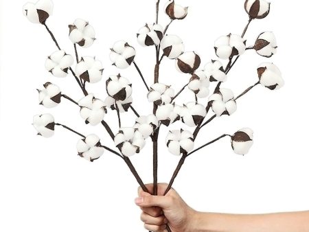 VGIA 3 Pack 21 inch Cotton Stems Farmhouse Decoration Floral Picks - Rustic Style Vase Filler Decoration Flower Online now