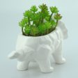 VanEnjoy 6 Inch Cute Cartoon Dinosaur Shape Ceramic Succulent Planter, Water Culture Hydroponics Bonsai Cactus Flower Pot,Air Plant Vase Holder Desktop Decorative Organizer (Triceratops, White) Cheap