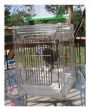 P & P Acrylic Parrot Travel Carrier CAGE Bird Cages Toy Toys Quakers, Lories, Senegal, Parakeet, Parrot Online Sale