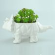 VanEnjoy 6 Inch Cute Cartoon Dinosaur Shape Ceramic Succulent Planter, Water Culture Hydroponics Bonsai Cactus Flower Pot,Air Plant Vase Holder Desktop Decorative Organizer (Triceratops, White) Cheap