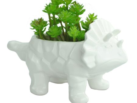 VanEnjoy 6 Inch Cute Cartoon Dinosaur Shape Ceramic Succulent Planter, Water Culture Hydroponics Bonsai Cactus Flower Pot,Air Plant Vase Holder Desktop Decorative Organizer (Triceratops, White) Cheap