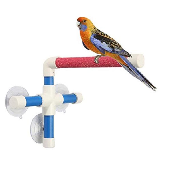 Portable Suction Cup Shower Perch Stand for Bird Parrot Macaw Cockatoo African Greys Budgies Parakeet Cockatiel Conure Lovebirds Bath Perch Toy Online Sale