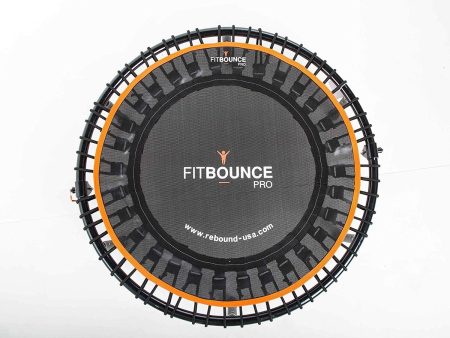 FIT BOUNCE PRO II Bungee Rebounder | Half Folding, Silent& Beautifully Engineered Professional Mini Trampoline for Adults & Kids | Includes DVD, Storage Bag & BounceCounter| Free Online Video Workouts For Discount