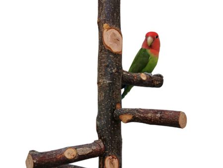 kathson Bird Perch Natural Apple Wood Stand Toy Branch Paw Grinding Standing Climbing Toy Cage Accessories for Small and Medium Parrots,Parakeets,Lovebirds,African Grey,Cockatiels Cheap