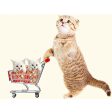 awtang Mini Supermarket Shopping Cart Trolley Bird Parrot Pet Toy Box Funny Toy Discount