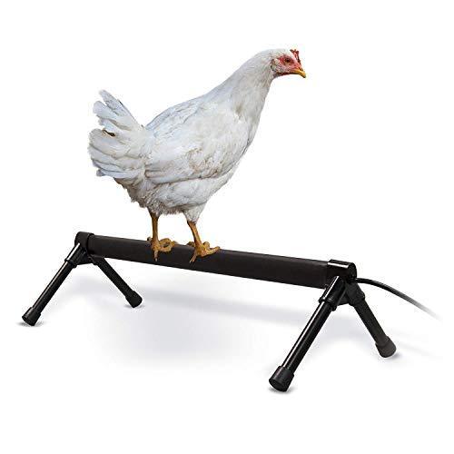 K&H Pet Products Thermo-Chicken Perch - Thermostatically Controlled Heated Chicken Perch Online Hot Sale