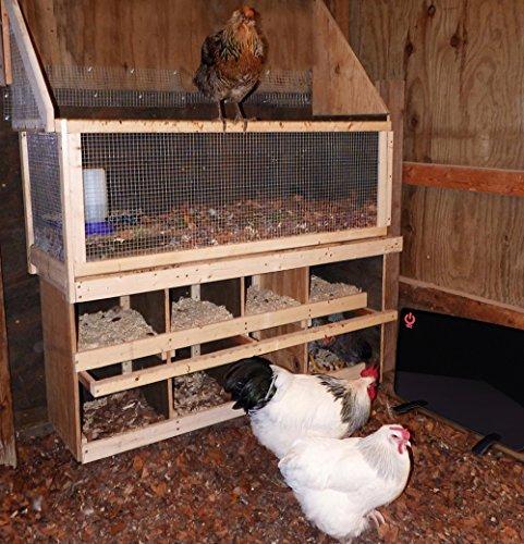 Cozy Products CL Safe Chicken Coop Heater 200 Watts Safer Than Brooder Lamps, One Size, Black Sale