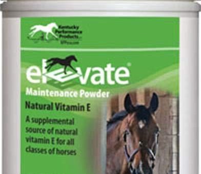 KENTUCKY PERFORMANCE PROD 044097 Elevate Maintenance Powder Supplement for Horses, 2 lb Supply