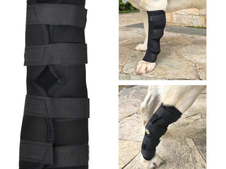 SEISSO Dog Brace for Canine Leg Wound Care, Band Healing Recovery, Sprains Helps with Loss of Stability Caused by Arthritis, Dog Rear Leg Braces Discount