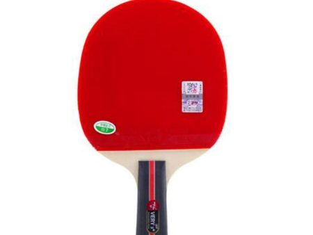 SSHHI Ping Pong Racket Set,Junior Table Tennis Bats,Entry Players,Unisex,Durable As Shown Short Handle Sale