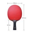 SSHHI Table Tennis Bats,Ping Pong Paddle Portable,Comfortable Handle,Suitable for Daily Training, Fashion As Shown   14.9×24.3cm Online now