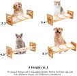 Ymachray Raised Cat Dog Bowls with Stand Feeder, Elevated Bamboo Stand with 3 Ceramics Bowls, Adjustable 4 Heights Discount