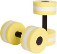 ZEYU SPORTS Aquatic Exercise Dumbbells - Set of 2 - for Water Aerobics For Sale