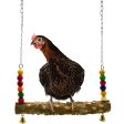 Mrli Pet Chicken Swing Toys with Natural Wooden for Hens Large Bird Parrot Macaw Training For Cheap