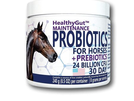 Equa Holistics LLC. Probiotics for Horses Sale