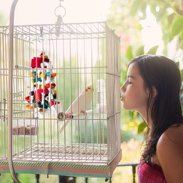 RYPET Bird Chewing Toy - Parrot Cage Bite Toys Wooden Block Bird Parrot Toys for Small and Medium Parrots and Birds For Cheap