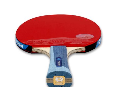 SSHHI Ping Pong Racket Set,Attacking Table Tennis Bats,Suitable for Intermediate Players to Use, Durable As Shown Short Handle For Sale