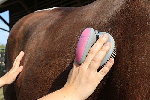 Oster Equine Care Series 7-Piece Grooming Kit For Cheap