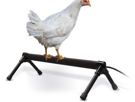 K&H Pet Products Thermo-Chicken Perch - Thermostatically Controlled Heated Chicken Perch Online Hot Sale