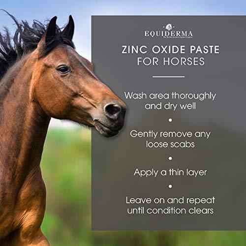 Equiderma Zinc Oxide Paste for Horses, 16 Ounces Each Online