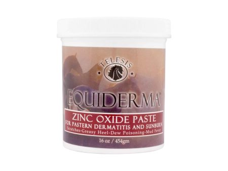 Equiderma Zinc Oxide Paste for Horses, 16 Ounces Each Online