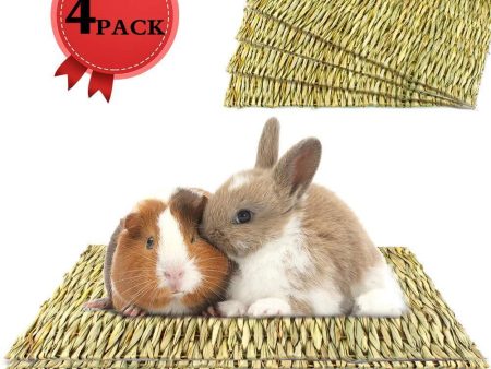 THINKPRICE Natural Straw Grass Mat Woven Bed Mat for Small Animal Bunny Bedding Nest Chew Toy Bed Play Toy for Guinea Pig Parrot Rabbit Bunny Hamster Rat Ferret Chinchillas Fancy Gerbil For Cheap