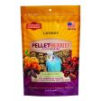 LAFEBER S Pellet-Berries Cheap