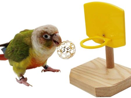 QBLEEV Bird Toys, Bird Trick Tabletop Toys, Training Basketball Stacking Color Ring Toys Sets, Parrot Chew Ball Foraing Toys, Education Play Gym Playground Activity Cage Foot Toys Online Sale