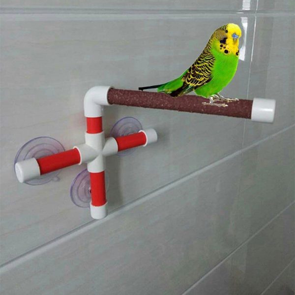 Portable Suction Cup Shower Perch Stand for Bird Parrot Macaw Cockatoo African Greys Budgies Parakeet Cockatiel Conure Lovebirds Bath Perch Toy Online Sale