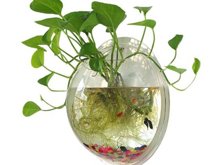 Sweetsea Hanging Wall Mounted Fish Bowl Aquaponic Tank Aquariums Plant Fish Bubble - Clear (Medium) Supply