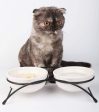 Ymachray Pet Feeder Double Ceramic Bowl for Small Dogs and Cats Sale