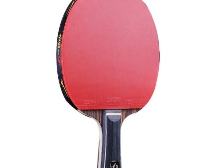 SSHHI Table Tennis Bats,Ping Pong Paddle Portable,Comfortable Handle,Suitable for Daily Training, Fashion As Shown   14.9×24.3cm Online now