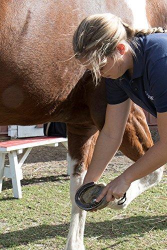 Oster Equine Care Series 7-Piece Grooming Kit For Cheap