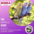 Bonka Bird Toys Ball Clanger Birds Toy Hot on Sale