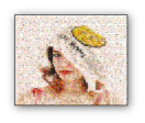 Photo Mosaic Canvas Print Supply